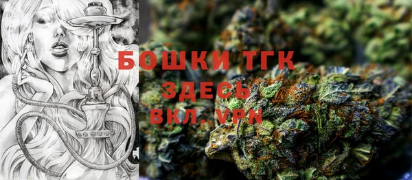 крисы Корсаков